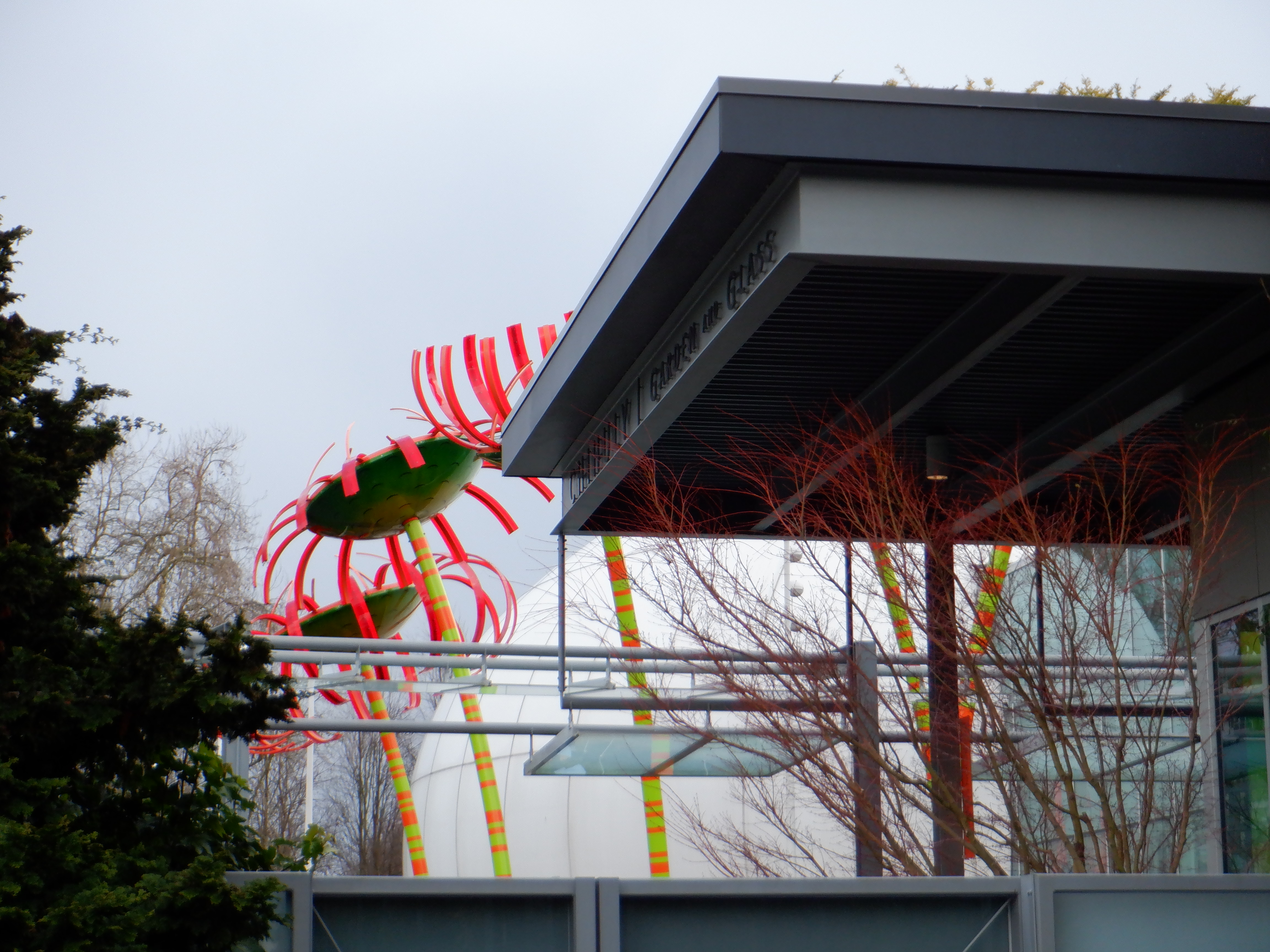 ./2020/03 - Seattle/DSCF1246.JPG